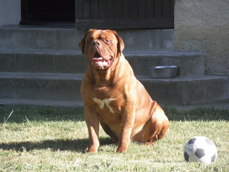 Caruso Du regard de breizh