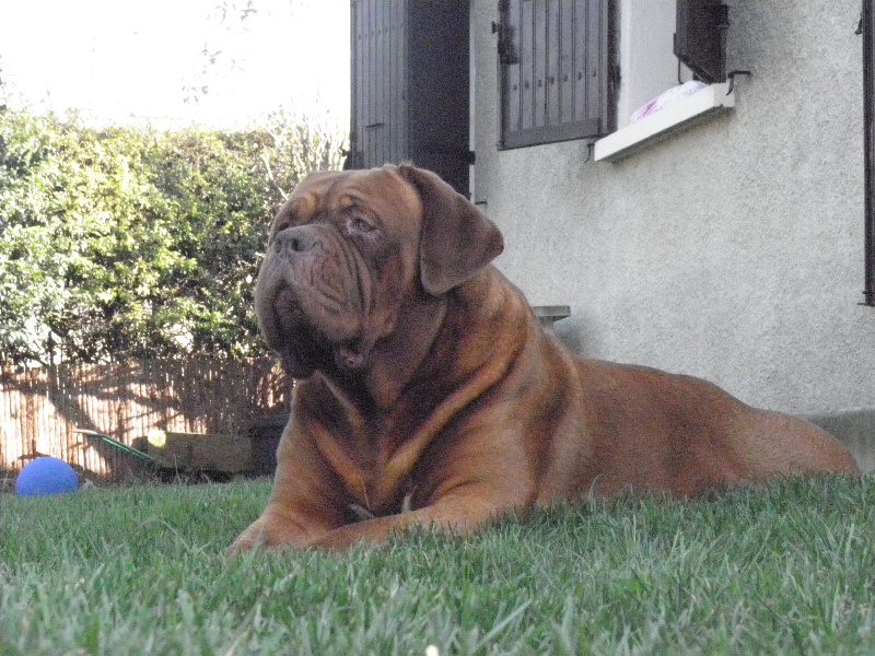 Caruso Du regard de breizh