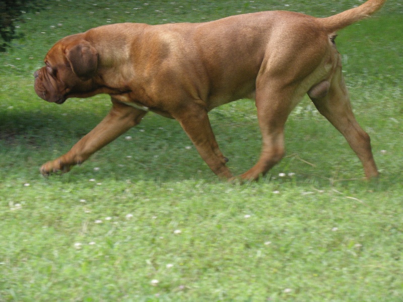 Caruso Du regard de breizh