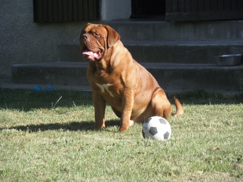 Caruso Du regard de breizh